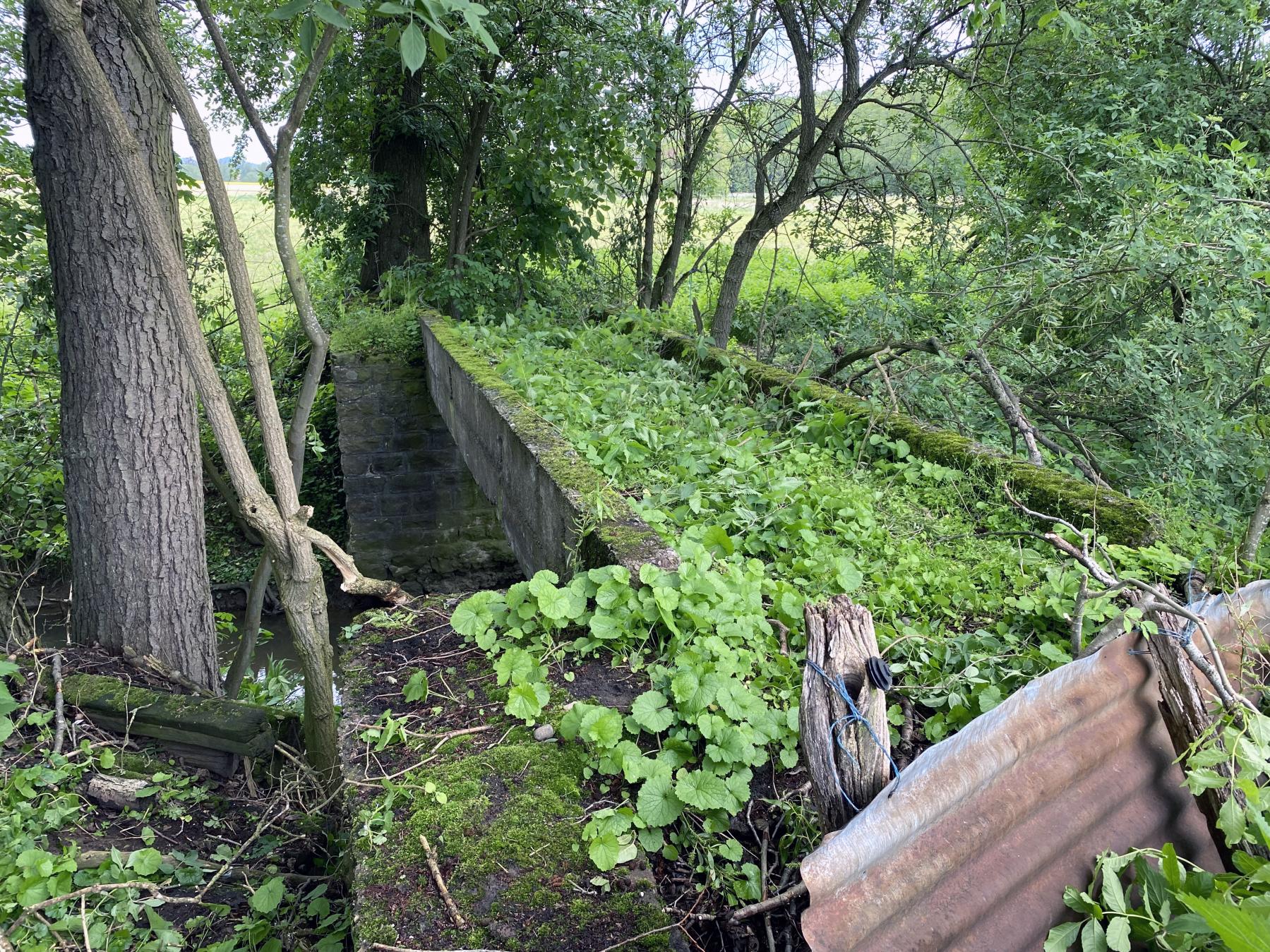 Ligne Maginot - VF60 - ANTENNE DE L'OUVRAGE DE SCHOENENBOURG - (RESEAU - Voie 60 - Antenne ou rocade ferroviaire) - 18 - PONT sur le WITSENBAECHEL
Vue d'ensemble coté Soultz
