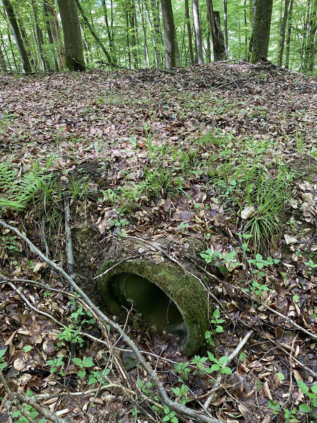 Ligne Maginot - VF60 - ANTENNE DE L'OUVRAGE DU FOUR-à-CHAUX - (RESEAU - Voie 60 - Antenne ou rocade ferroviaire) - Le type de passage sous talus pour les ruisseaux le long de la voie.
Noter la faible qualité de finition avec, une buse simplement posée.