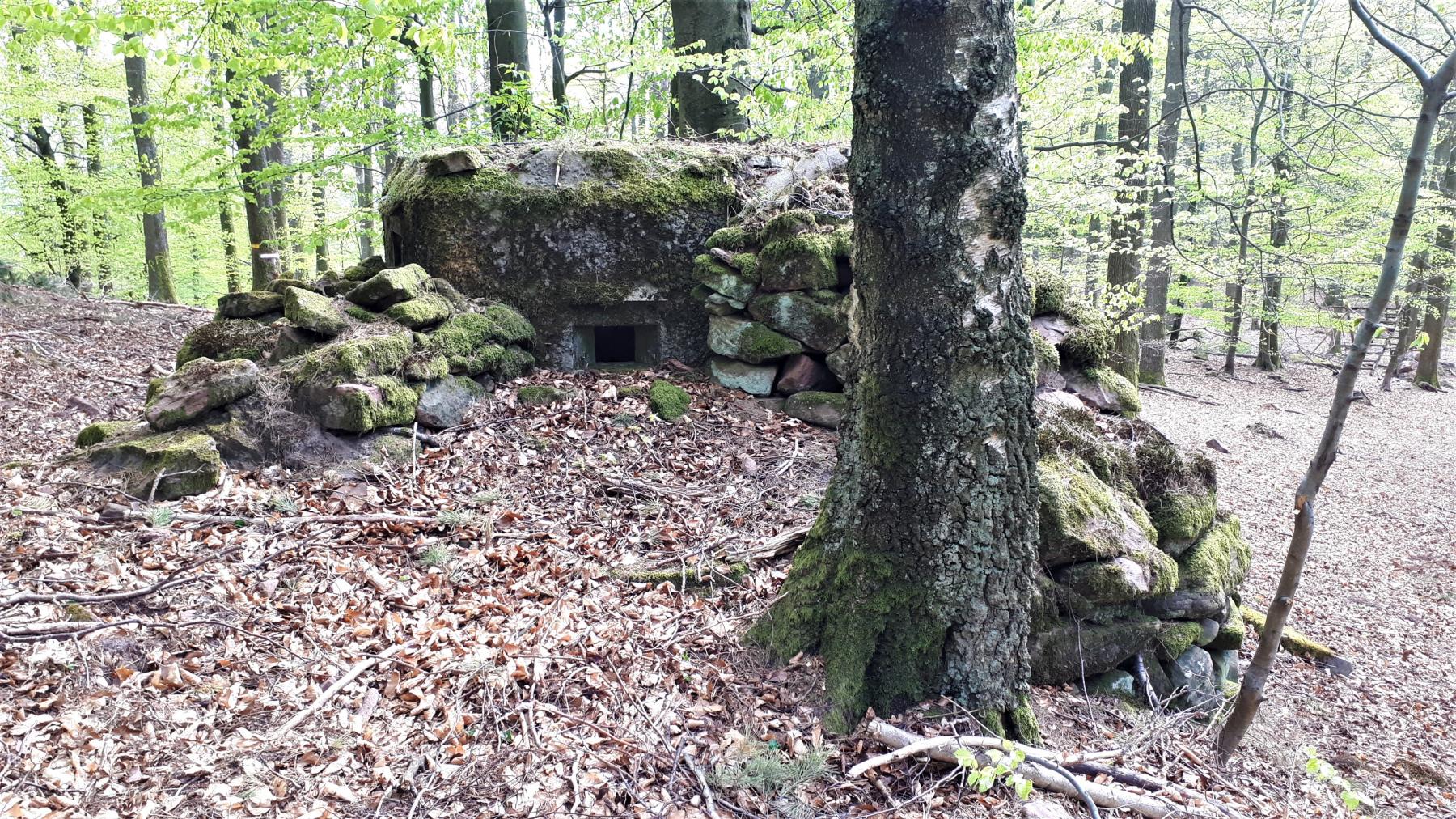 Ligne Maginot - FM41 - GRAND MUEHLBERG 1 - (Blockhaus pour arme infanterie) - Créneau de droite