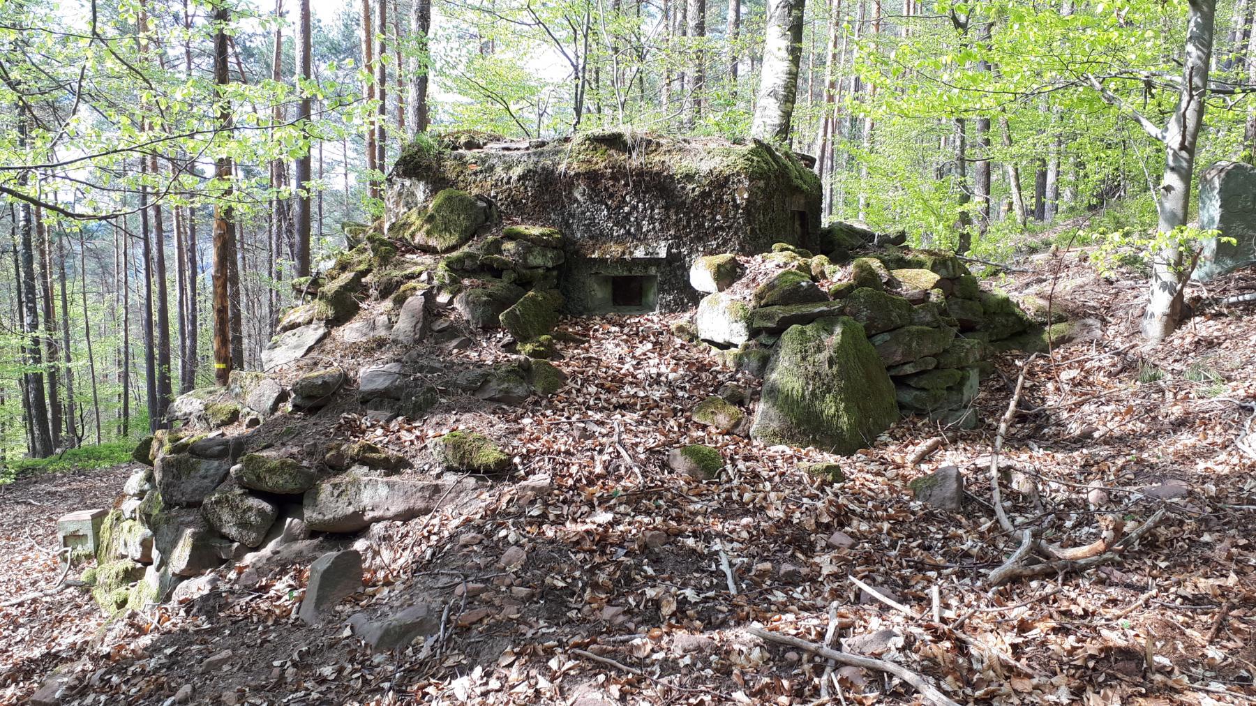 Ligne Maginot - FM41 - GRAND MUEHLBERG 1 - (Blockhaus pour arme infanterie) - Créneau de gauche