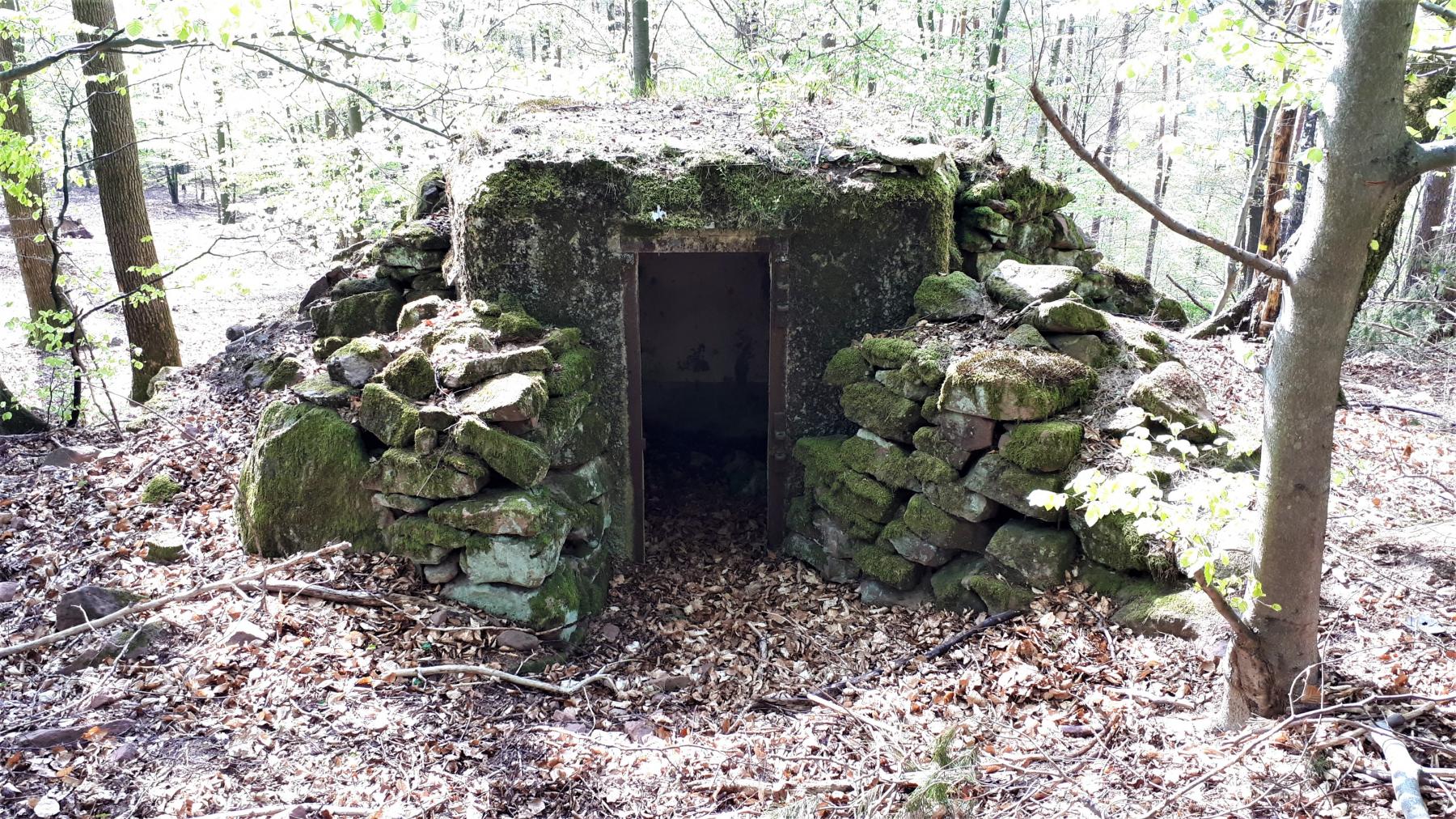 Ligne Maginot - FM41 - GRAND MUEHLBERG 1 - (Blockhaus pour arme infanterie) - L'entrée