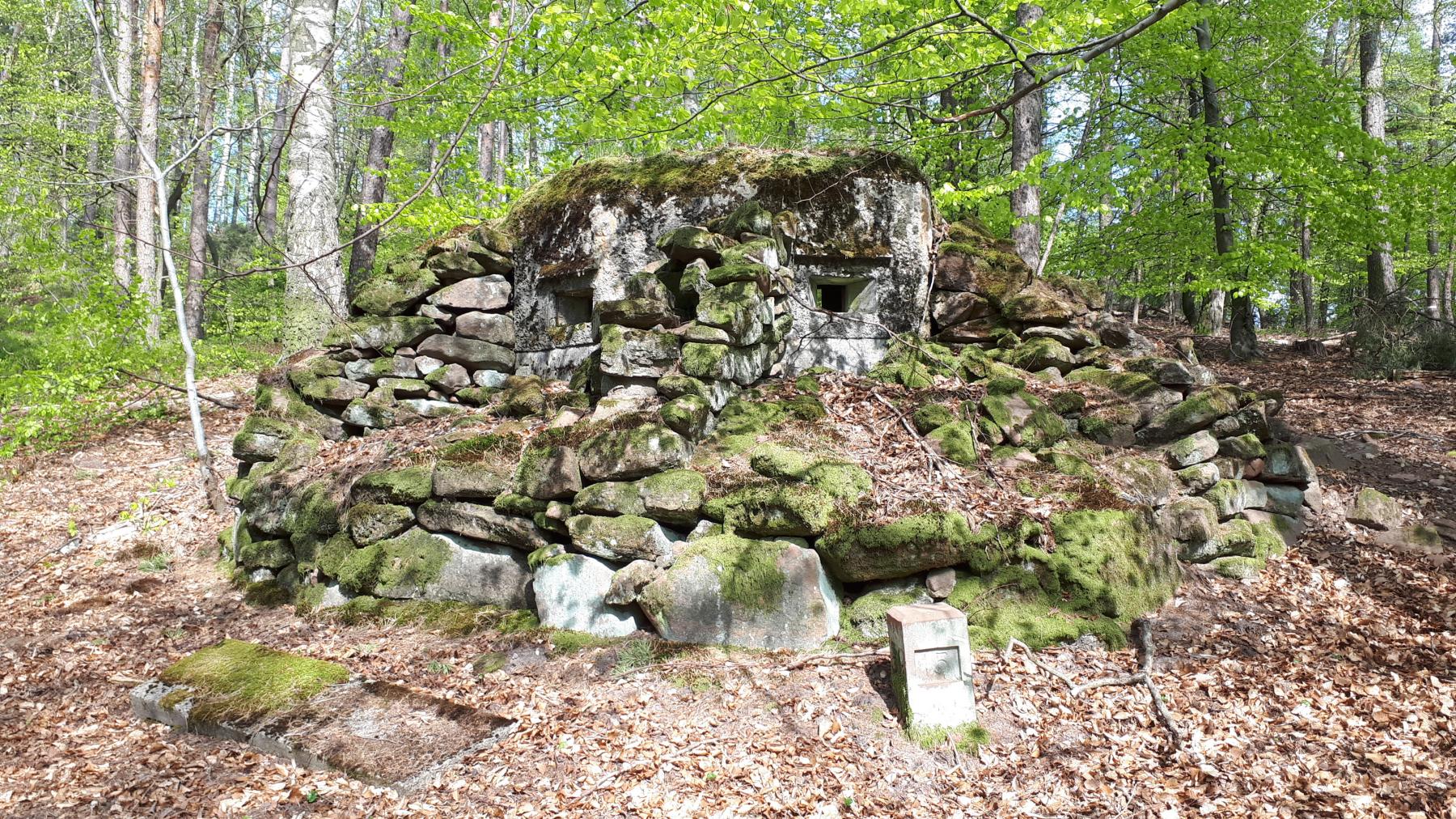 Ligne Maginot - FM41 - GRAND MUEHLBERG 1 - (Blockhaus pour arme infanterie) - Les deux créneaux frontaux