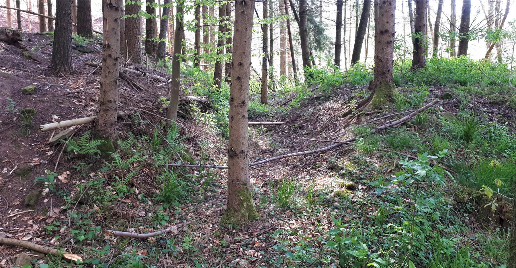 Ligne Maginot - NONNENHARDT (II°BON 165° RIF) - (PC de Quartier) - Tranchée - Gregory Fuchs