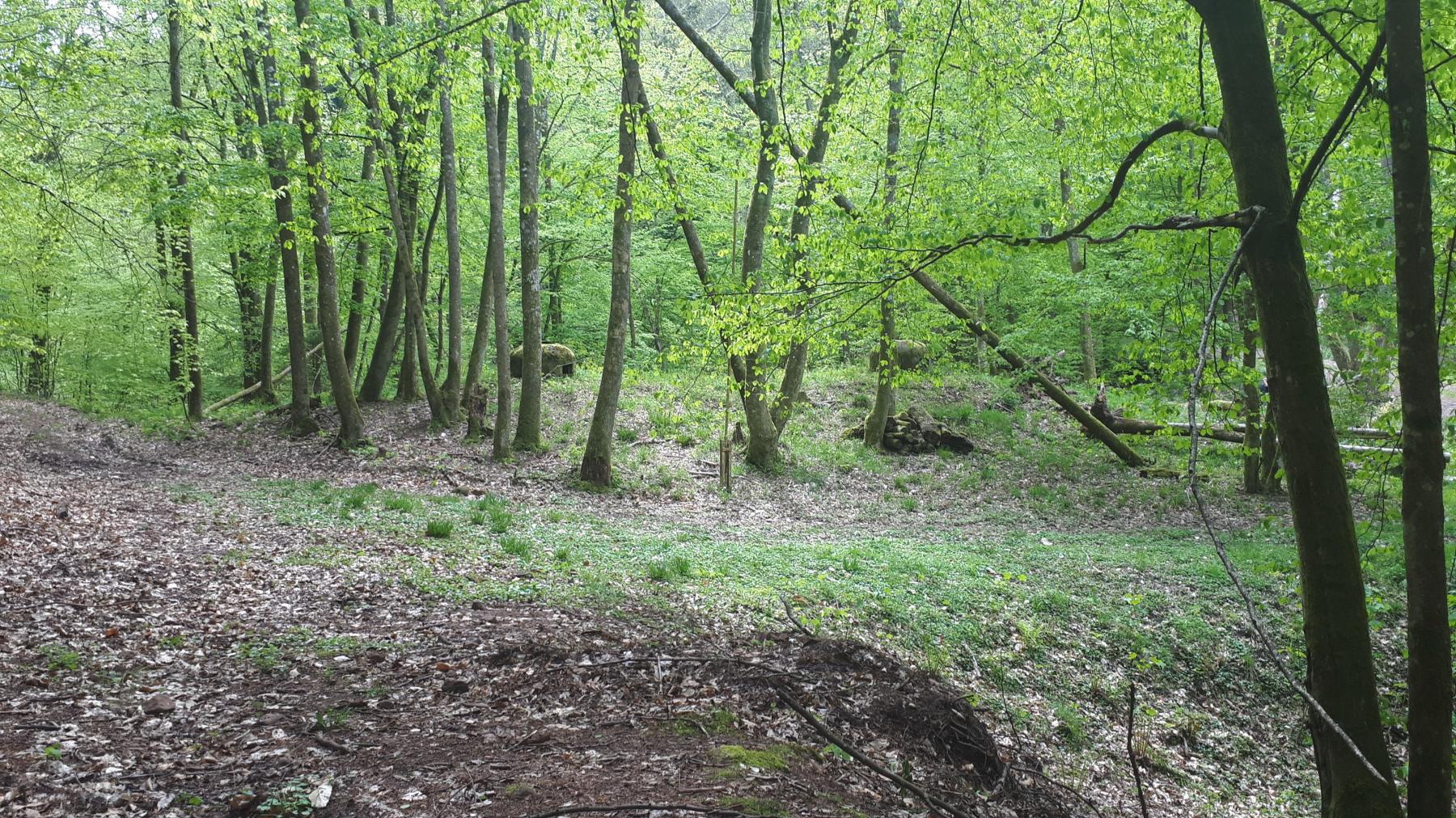 Ligne Maginot - TRAUTBACH OUEST - (Blockhaus pour arme infanterie) - Du coté ennemi seul les cloches GFM sont visibles