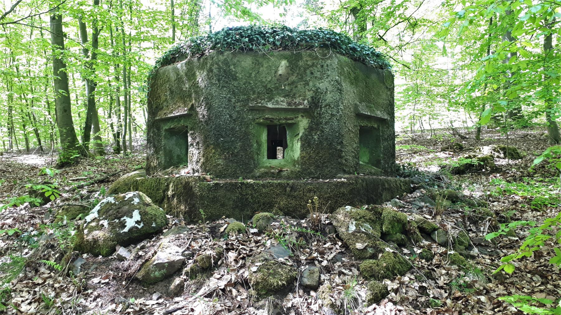 Ligne Maginot - FM29 - NONNENHARDT EST 6 - (Blockhaus pour arme infanterie) - Créneaux frontaux