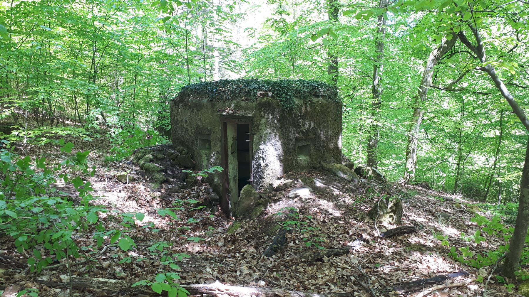 Ligne Maginot - FM29 - NONNENHARDT EST 6 - (Blockhaus pour arme infanterie) - L'entrée