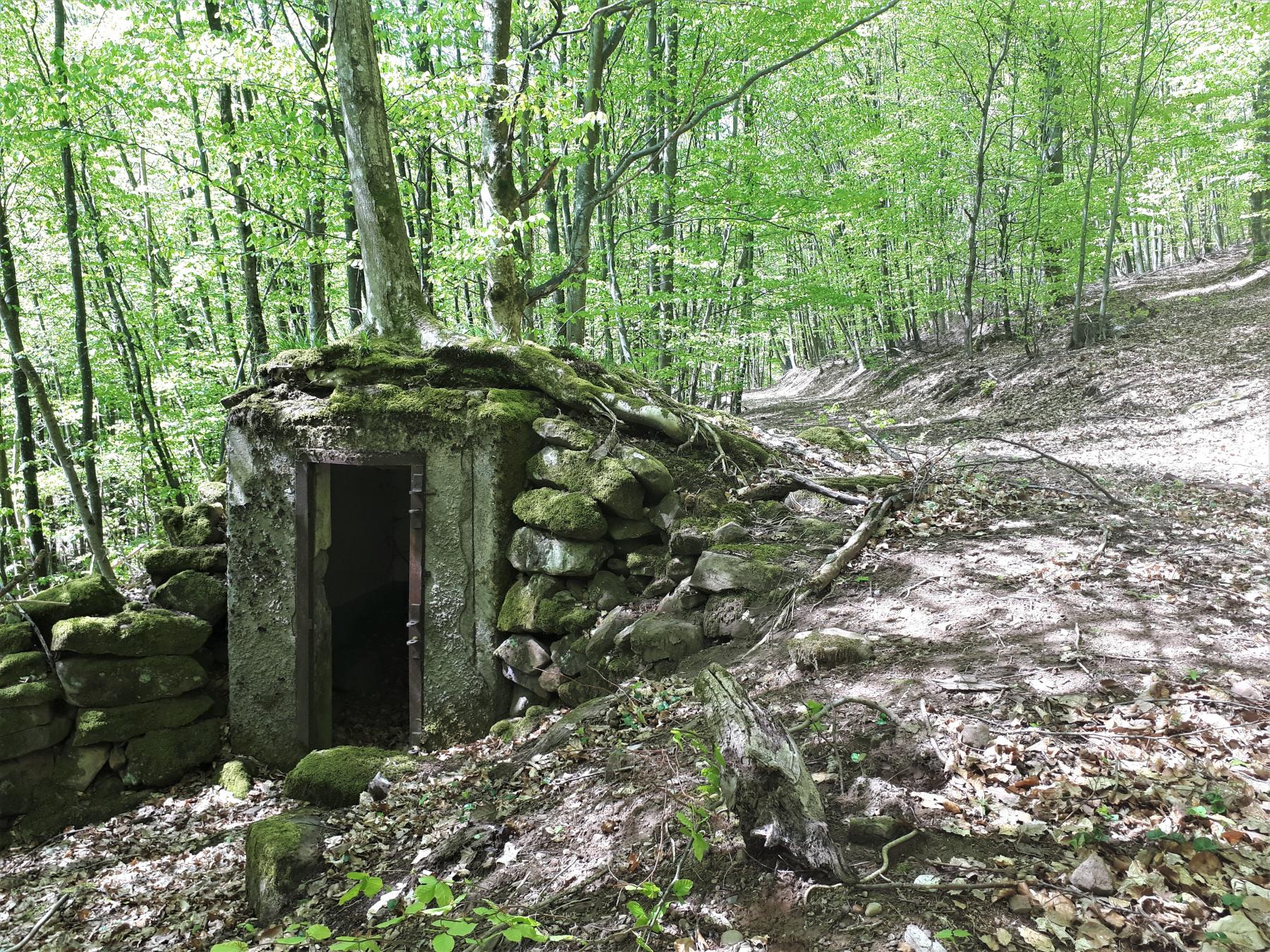 Ligne Maginot - M9 - TRAUTBACH 1 - (Blockhaus pour arme infanterie) - L'entrée