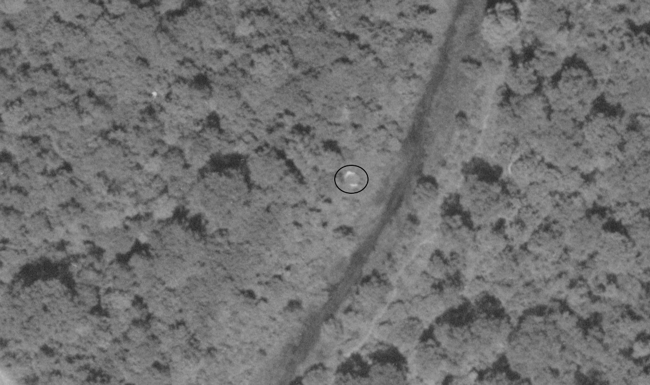 Ligne Maginot - PORT DU RHIN SUD 16 - (Blockhaus pour arme infanterie) - Le blockhaus Port du Rhin Sud 16 en 1950 - IGN - Géoportail 1950