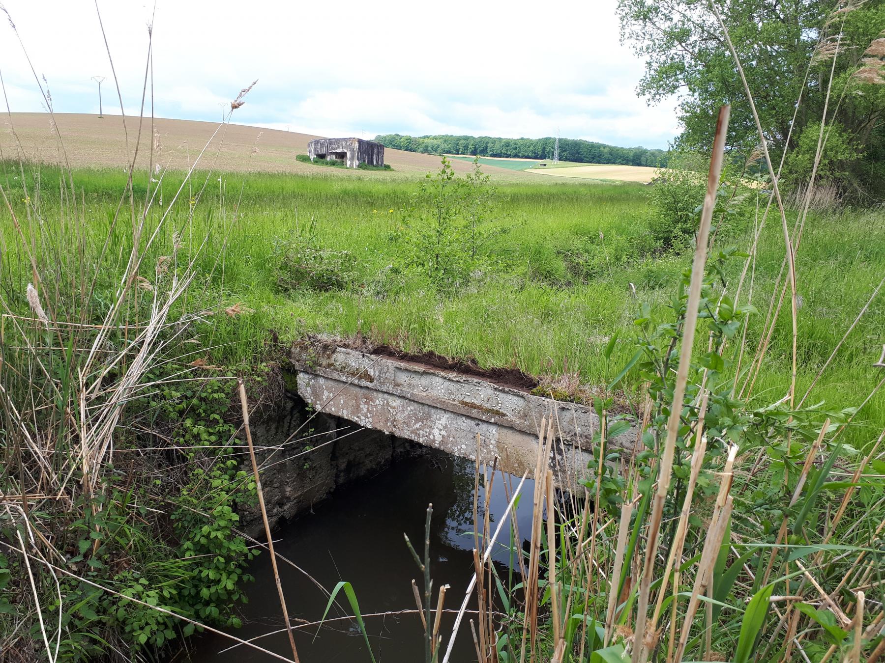 Ligne Maginot - VF60 - ANTENNE DE L'OUVRAGE DE SCHOENENBOURG - (RESEAU - Voie 60 - Antenne ou rocade ferroviaire) - 14 - PONT sur le FROESCHWILLERBAECHEL
La casemate STG Rutschenberg est visible à l'arrière plan