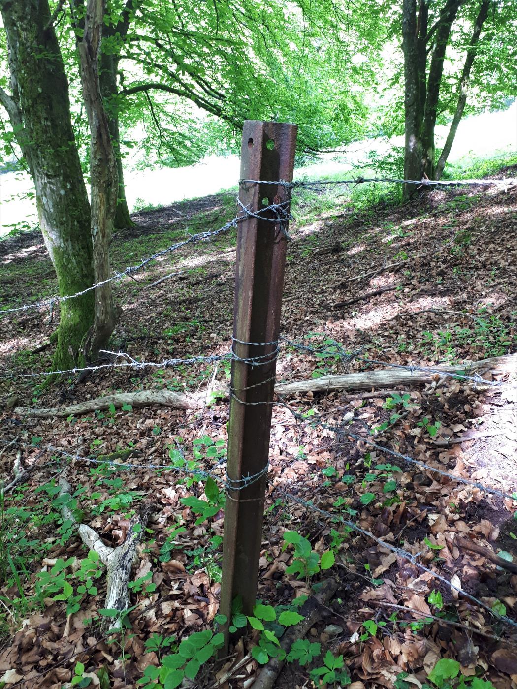 Ligne Maginot - VF60 - ANTENNE DE L'OUVRAGE DU FOUR-à-CHAUX - (RESEAU - Voie 60 - Antenne ou rocade ferroviaire) - 4 - EVITEMENT DU VERLORENERBACH
Rail de voie 60 servant de poteau à proximité de l'évitement