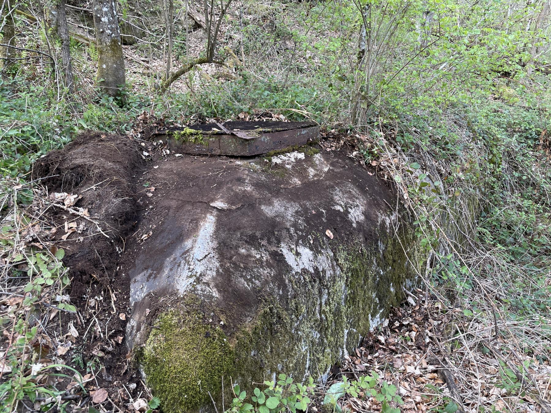 Ligne Maginot - BV1 - (Chambre de coupure) - 2021 - La chambre de coupure légèrement dégagée