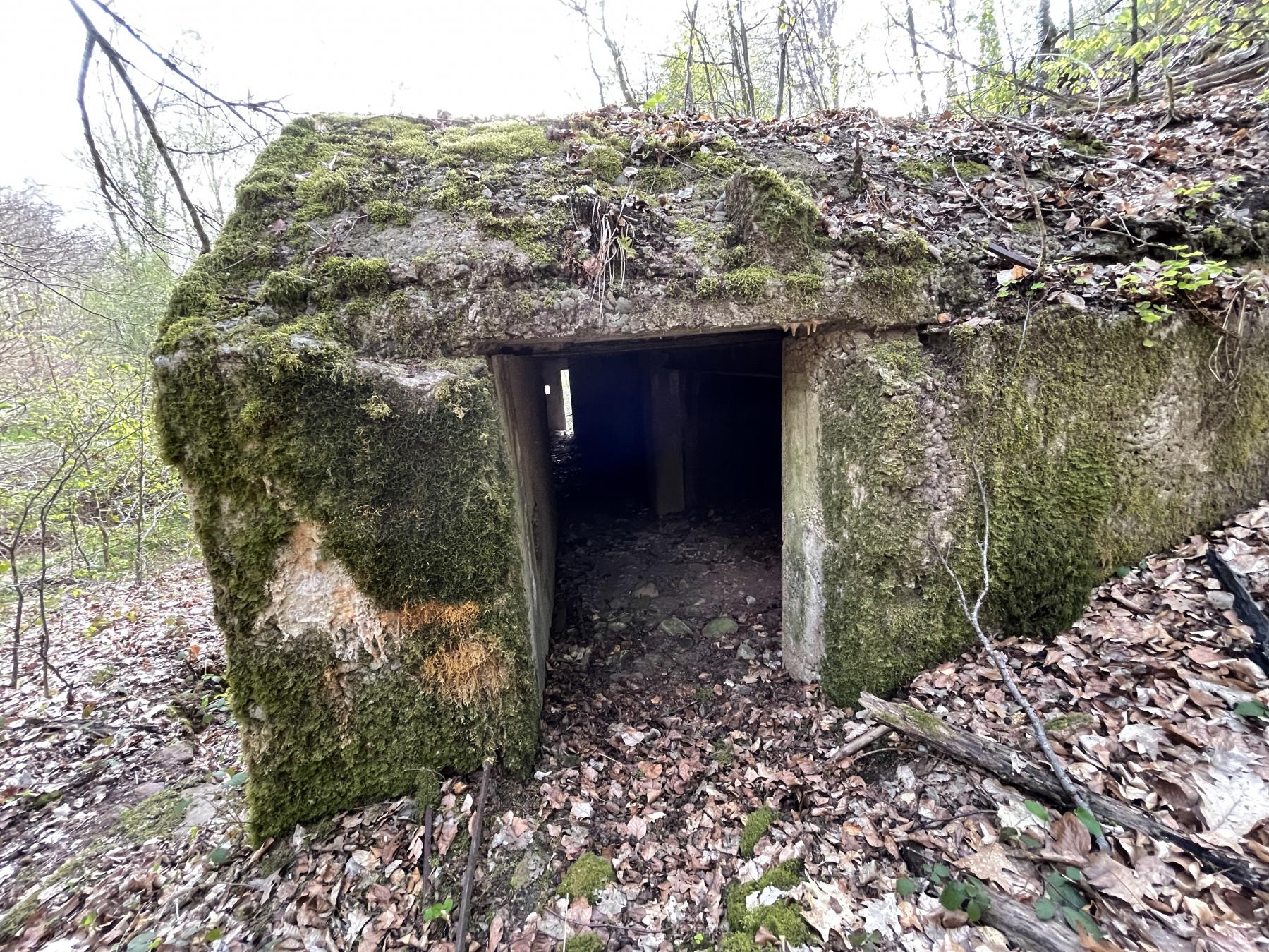 Ligne Maginot - HERRENWALD - ( III - 153° RIF ) - (PC de Quartier) - L'entrée arrière