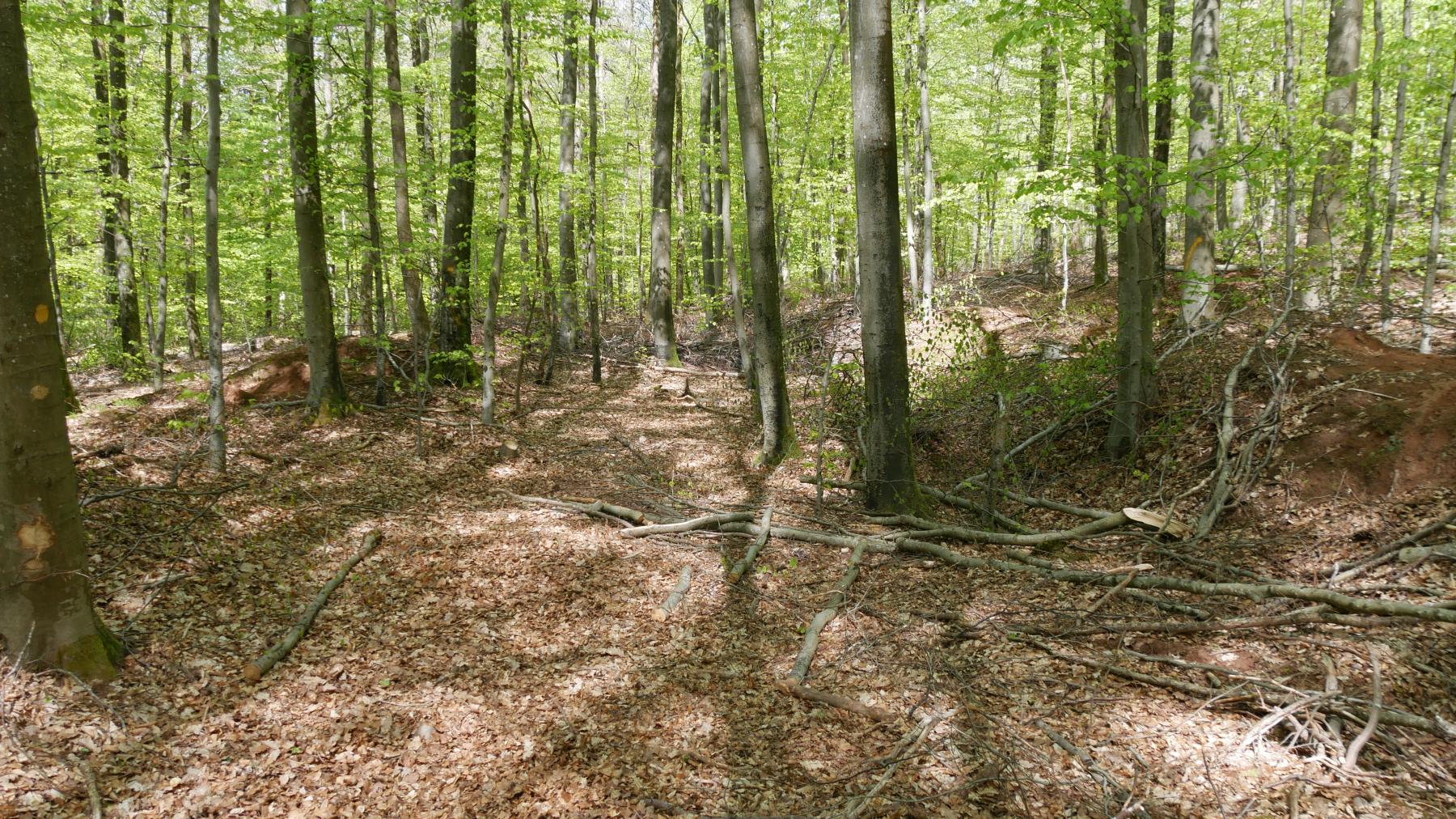 Ligne Maginot - SPITZBERG SUD - (Dépôt de Munitions) - Vue rapprochée de la zone aménagée.

On observe une merlon de terre franc sur le côté droit, et un autre moins visible sur le côté gauche.