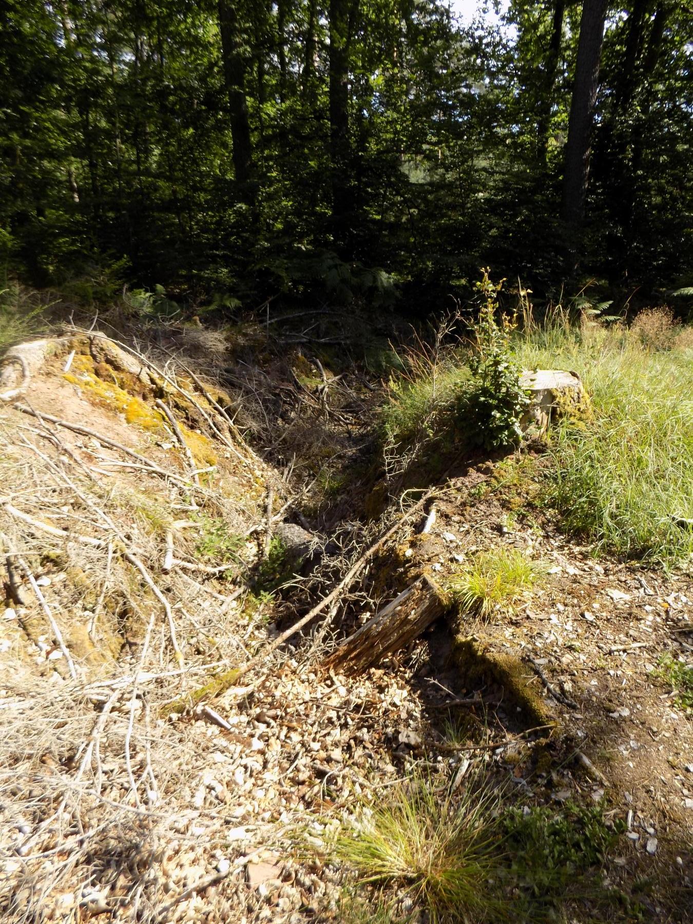 Ligne Maginot - GRAFENWEIHER 1 - (Blockhaus pour arme infanterie) - Vestige de la tranchée menant a l'entrée