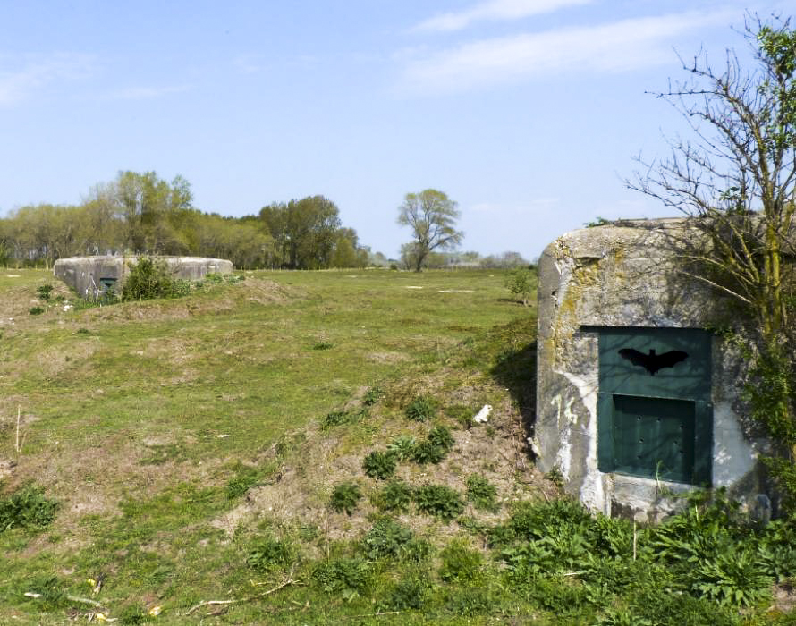 Ligne Maginot - B39 - BASSE PLAINE 10 - (Blockhaus pour arme infanterie) - Au premier plan B39, derrière B38