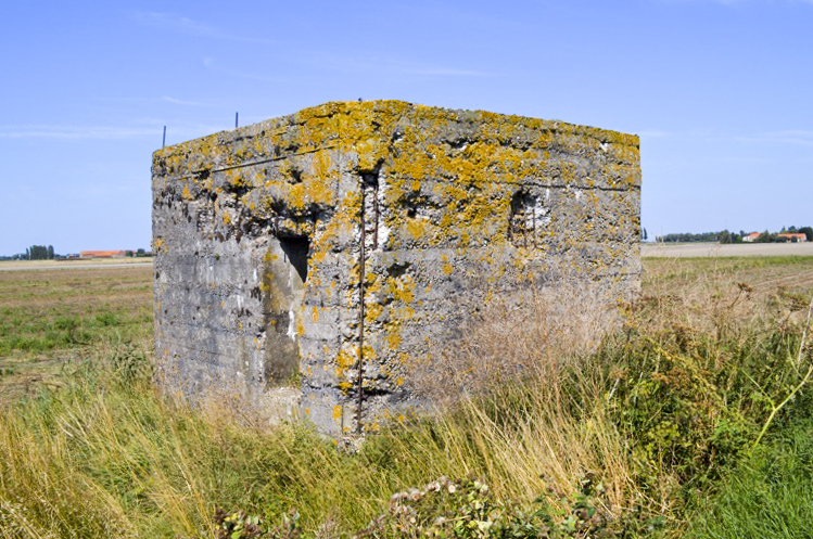 Ligne Maginot - B55 - Les GRANDES MOERES (Blockhaus pour arme infanterie) - 