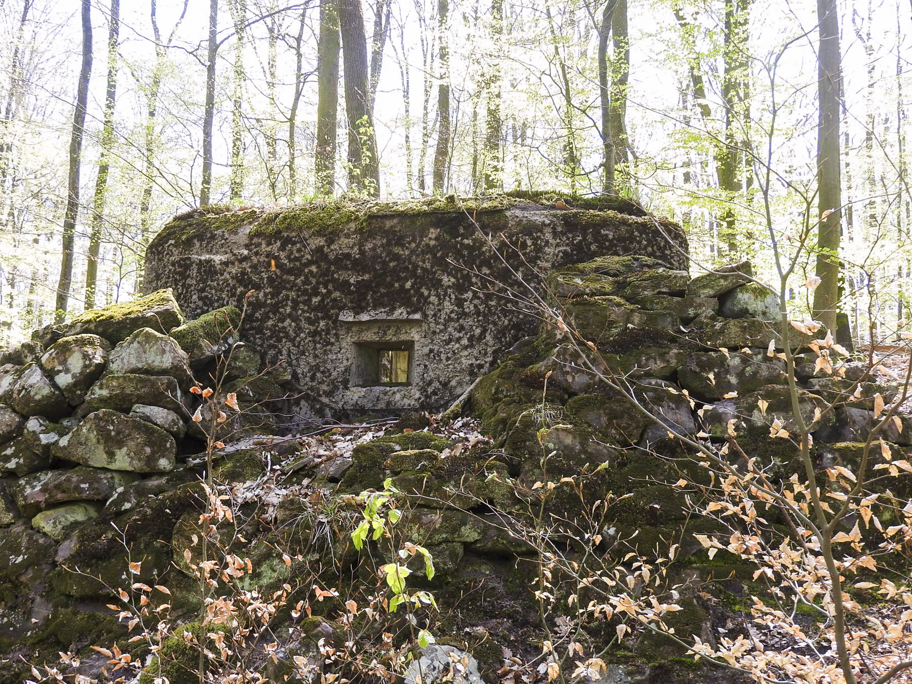 Ligne Maginot - HOHLSTEIN 1 - (Blockhaus pour arme infanterie) - Créneau frontal