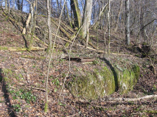 Ligne Maginot - BV1 (Chambre de coupure) - Vue générale