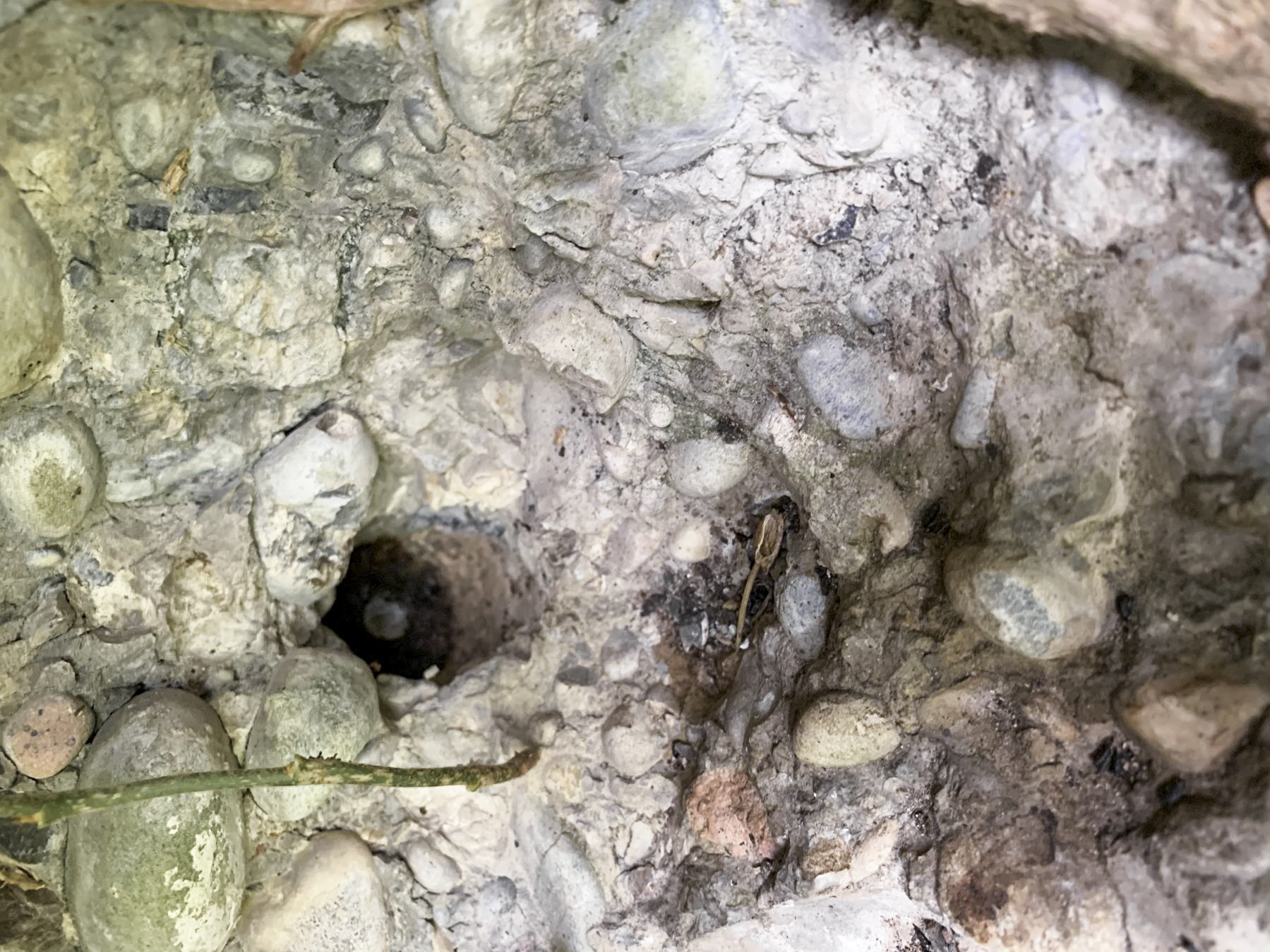 Ligne Maginot - PA DU CARREFOUR 243-1 - (Blockhaus pour canon) - Impact de pak 37 visiblement - Laurent mokry