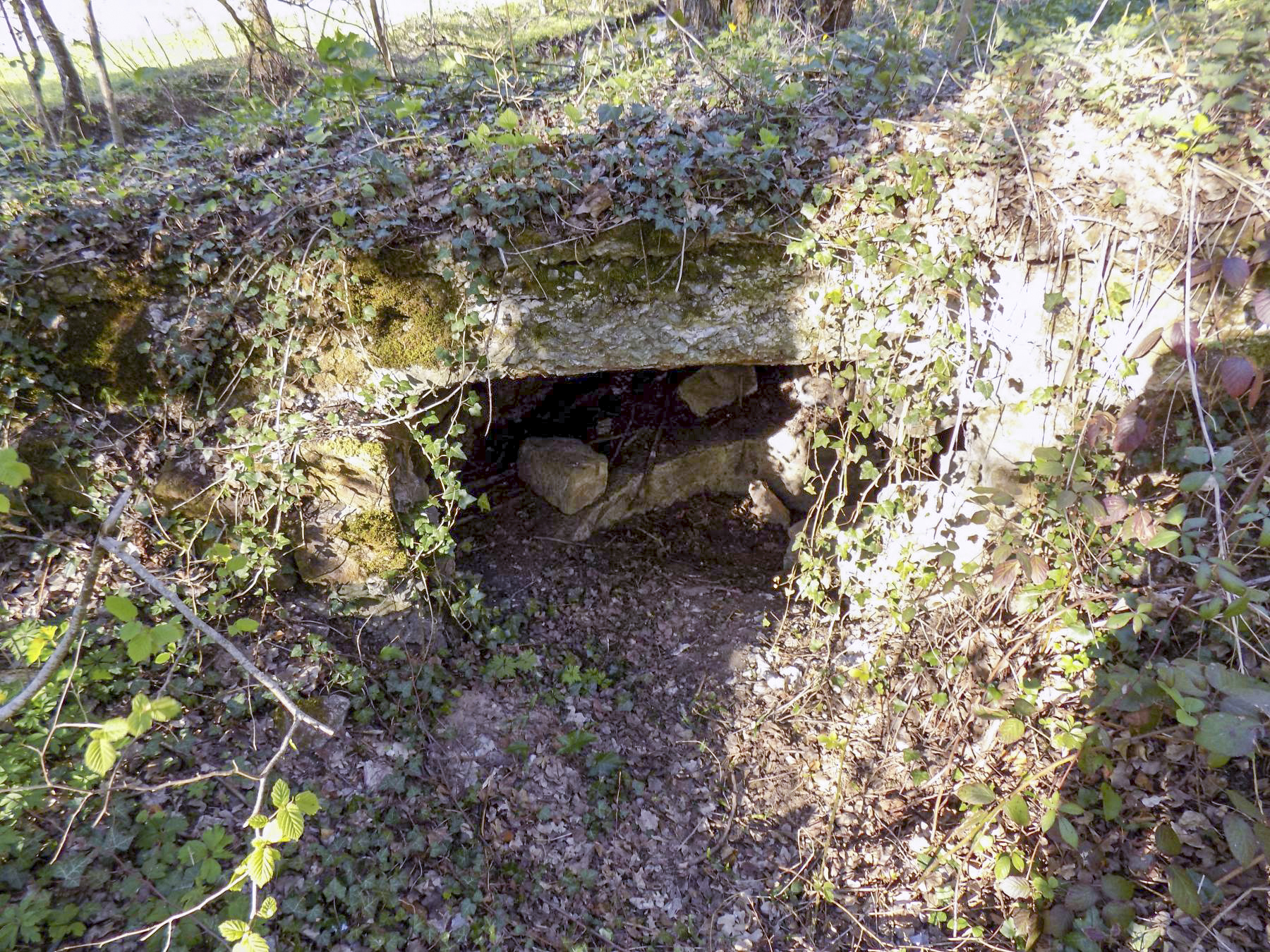 Ligne Maginot - VERLORENERBACH - (Blockhaus pour arme infanterie) - Vue arrière