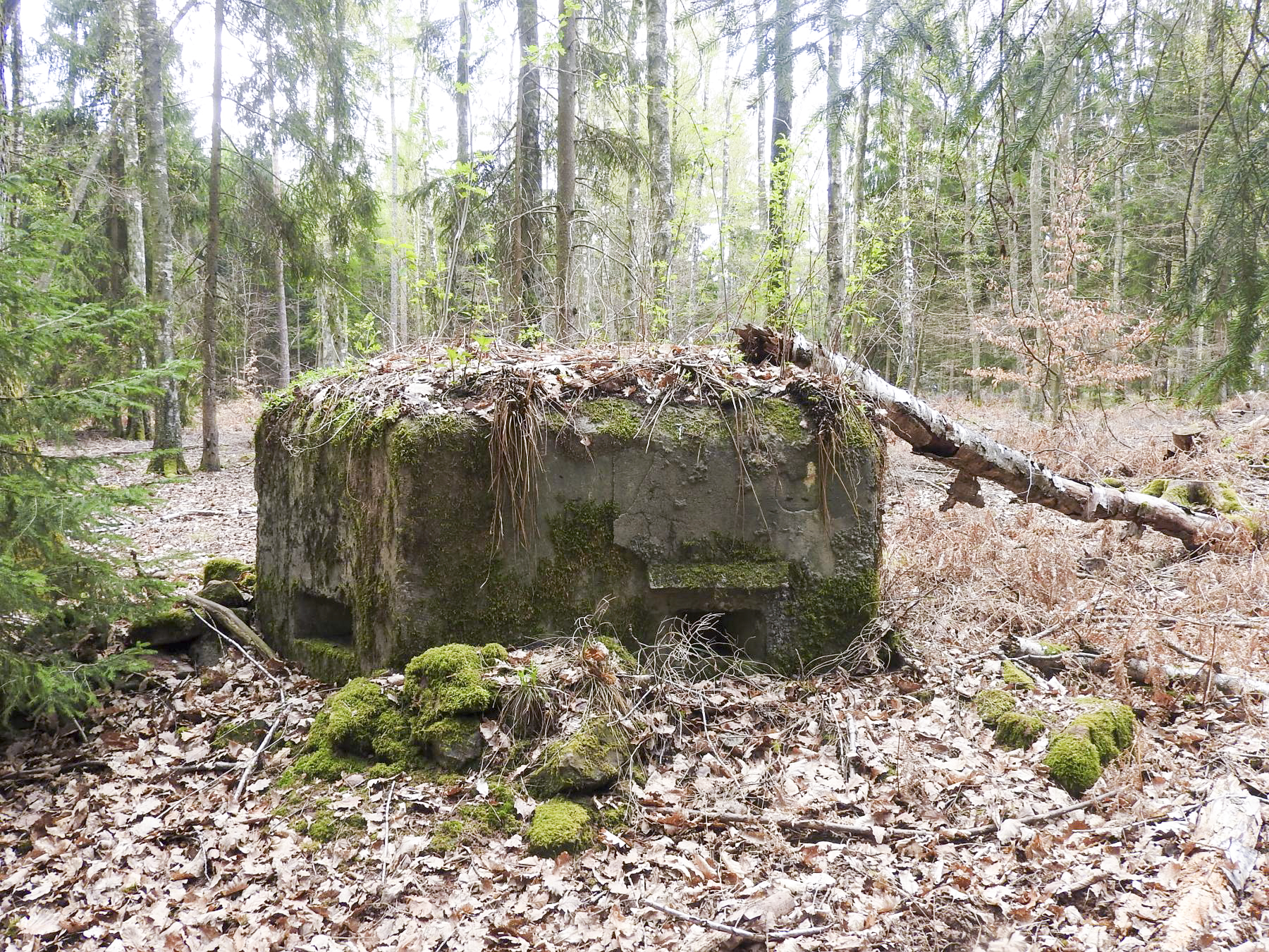 Ligne Maginot - HARDT 1 - (Blockhaus pour arme infanterie) - Les deux créneaux frontaux