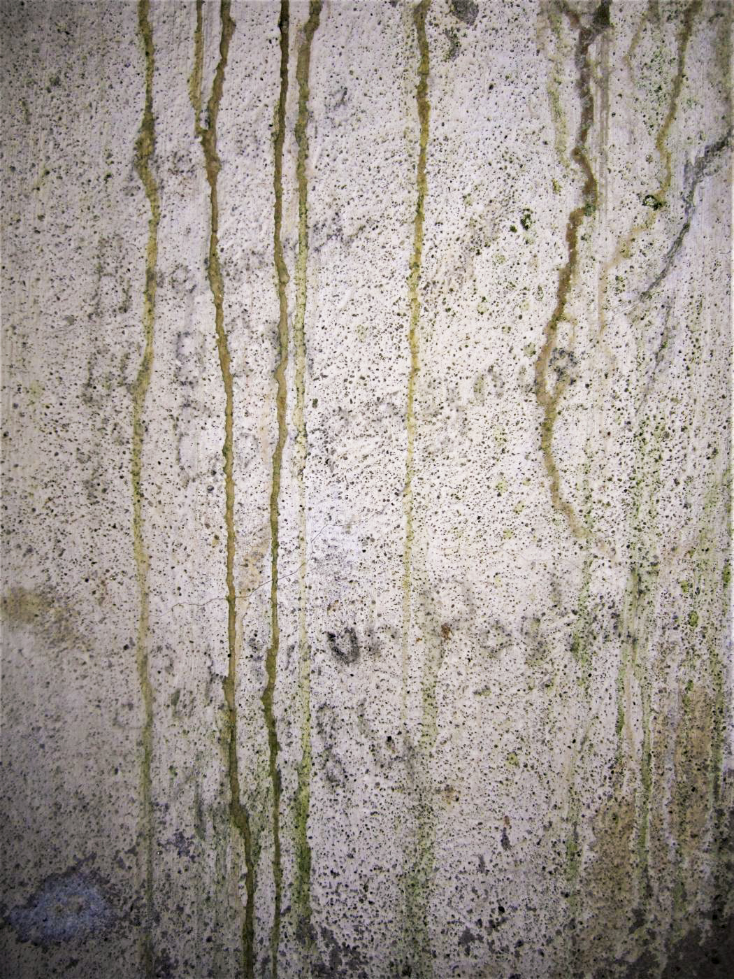 Ligne Maginot - HARDT 1 - (Blockhaus pour arme infanterie) - Graffiti - Gregory Fuchs