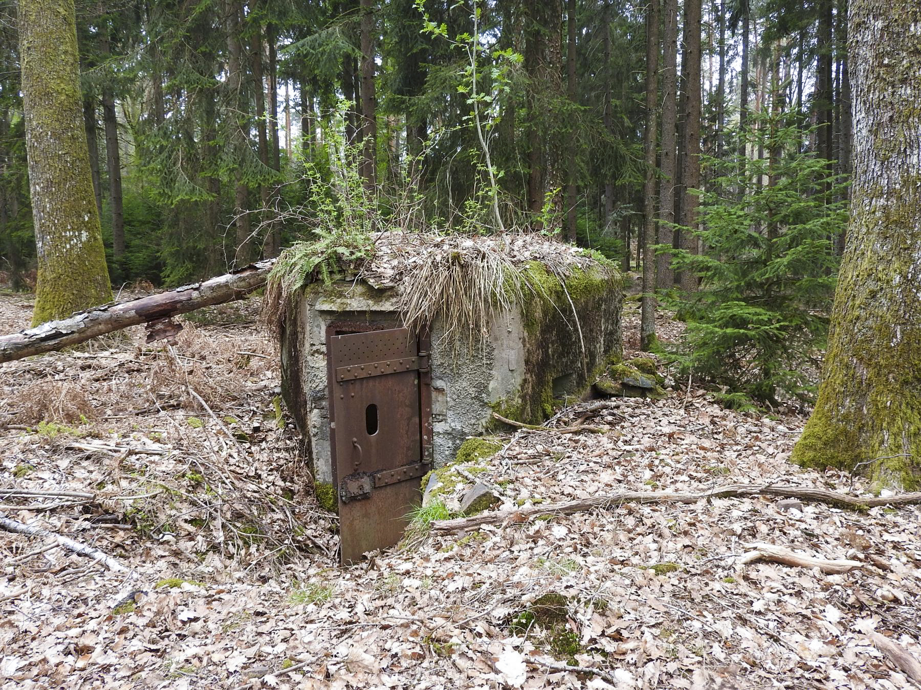 Ligne Maginot - HARDT 1 - (Blockhaus pour arme infanterie) - Entrée et créneau droit