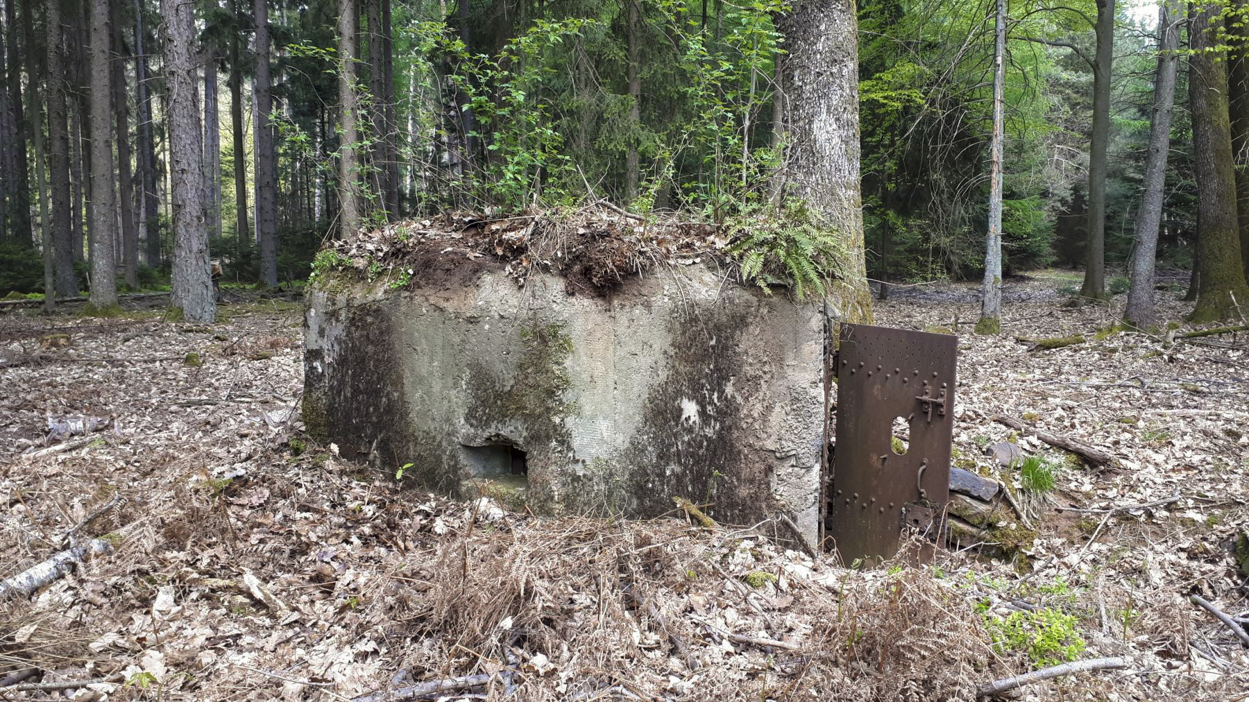 Ligne Maginot - HARDT 1 - (Blockhaus pour arme infanterie) - Entrée et créneau gauche