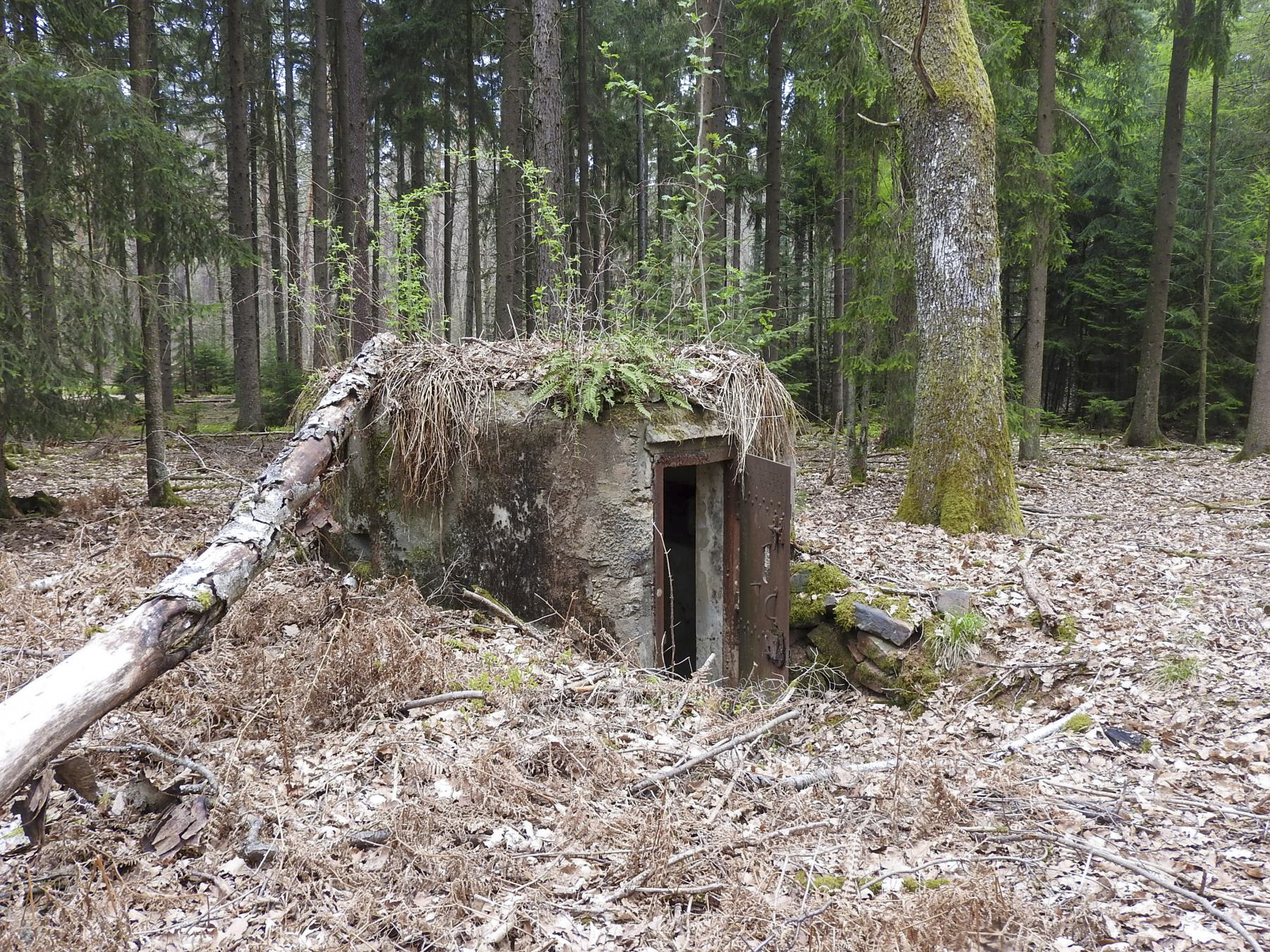 Ligne Maginot - HARDT 1 - (Blockhaus pour arme infanterie) - Entrée et créneau gauche