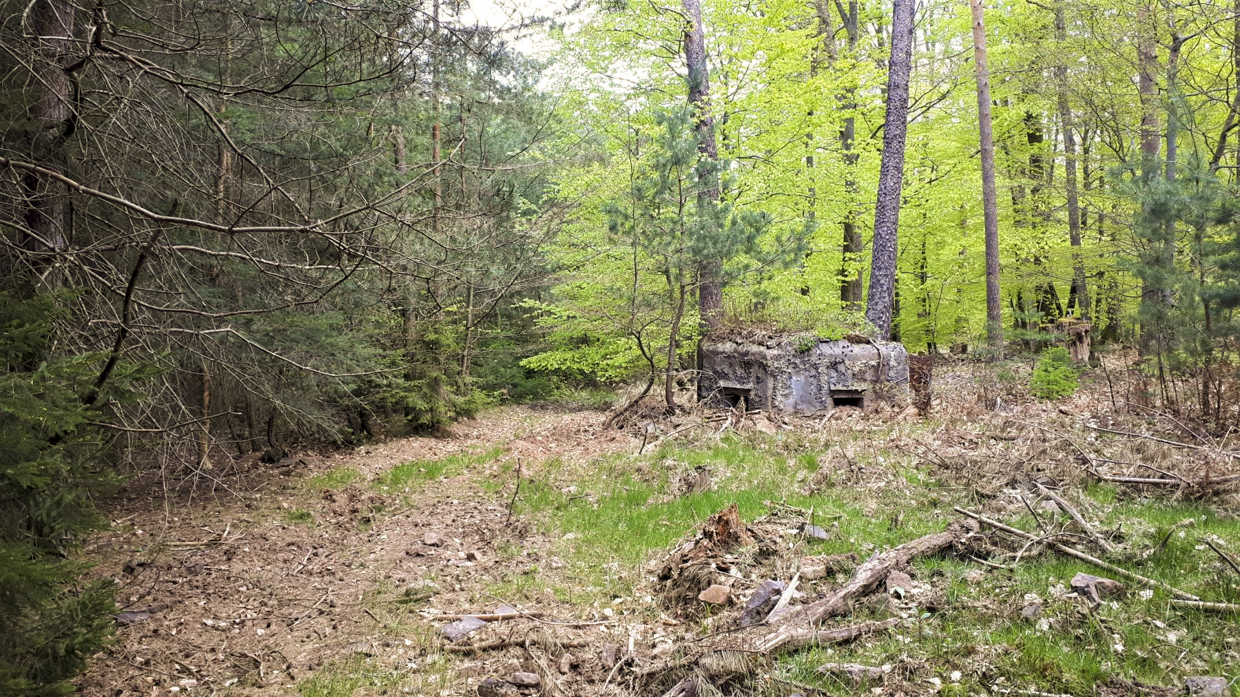 Ligne Maginot - HARDT 2 - (Blockhaus pour arme infanterie) - Le blockhaus bordant un ancien layon