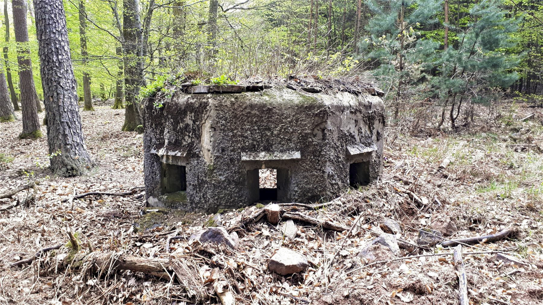 Ligne Maginot - HARDT 2 - (Blockhaus pour arme infanterie) - Les 3 créneaux frontaux