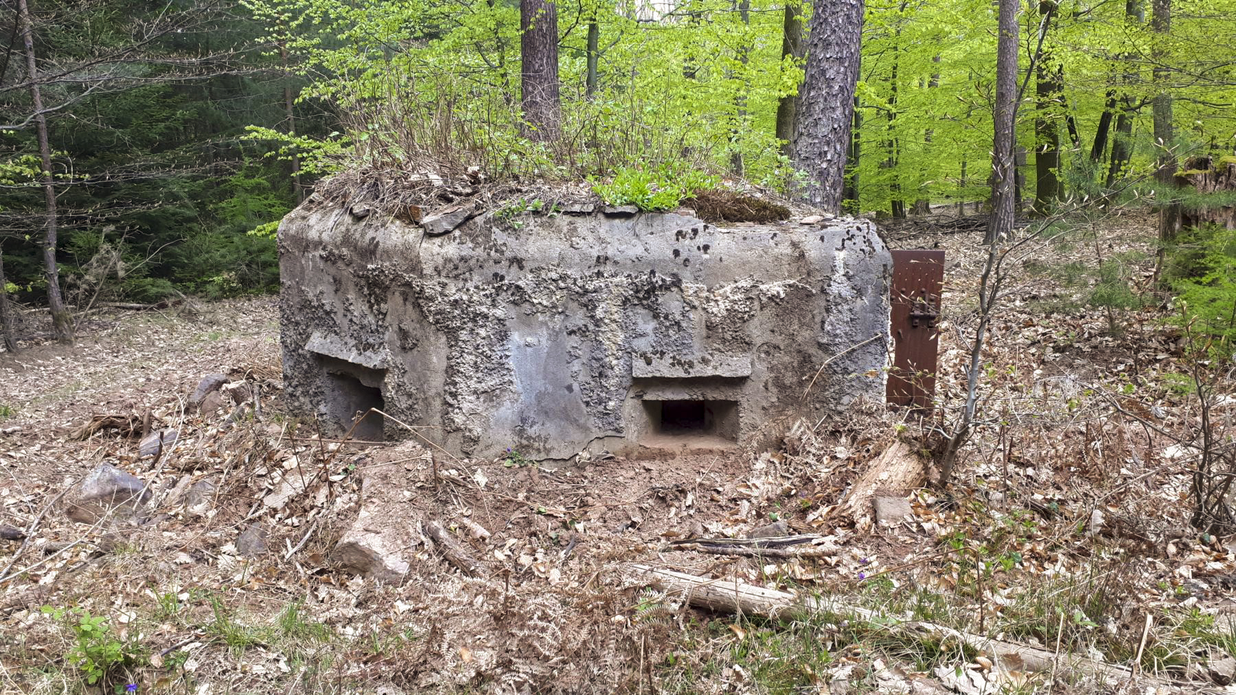 Ligne Maginot - HARDT 2 - (Blockhaus pour arme infanterie) - Vue coté gauche