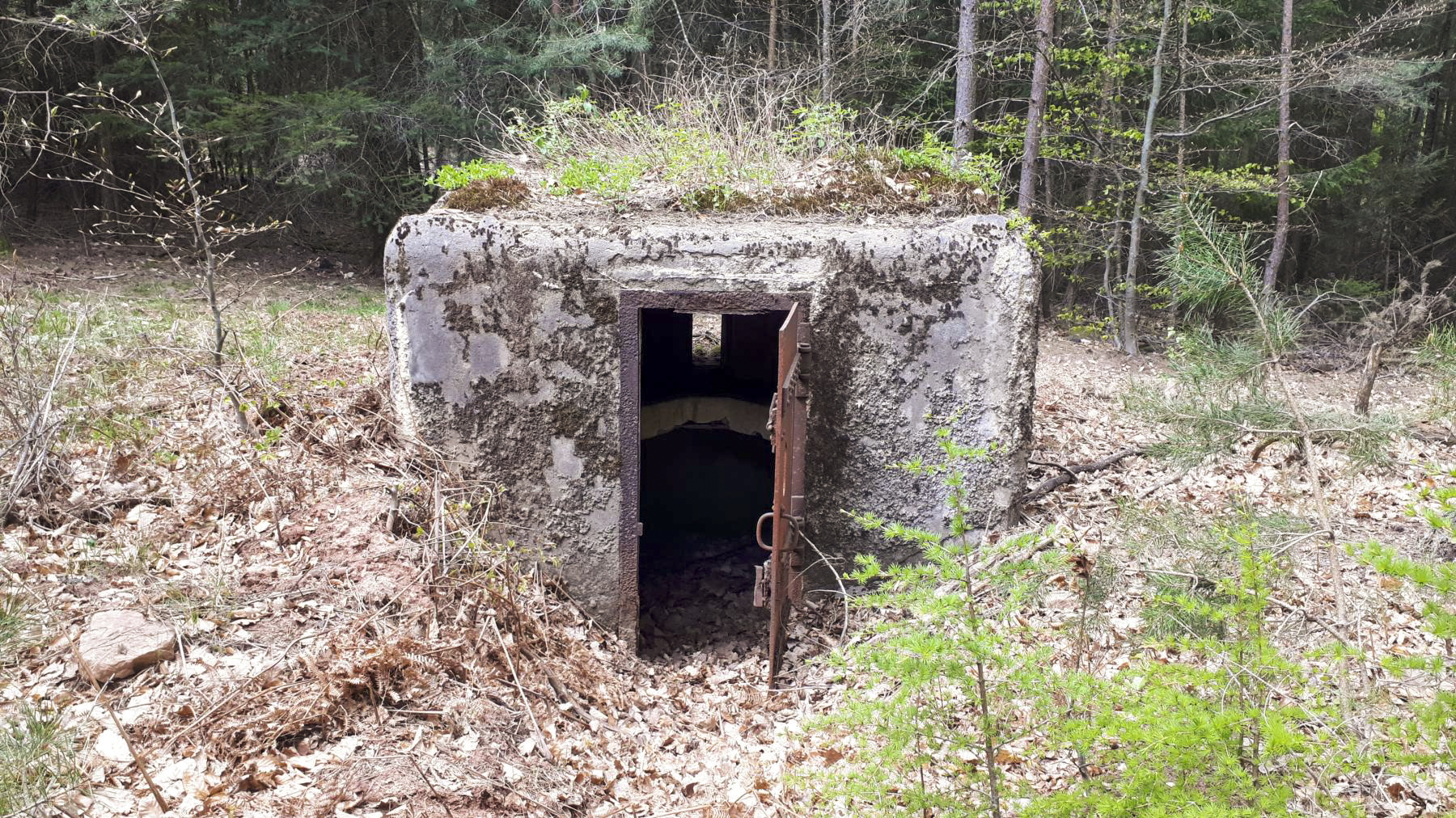 Ligne Maginot - HARDT 2 - (Blockhaus pour arme infanterie) - Entrée