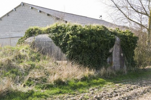 Ligne Maginot - B87 - HARINGHE (Blockhaus pour canon) - 