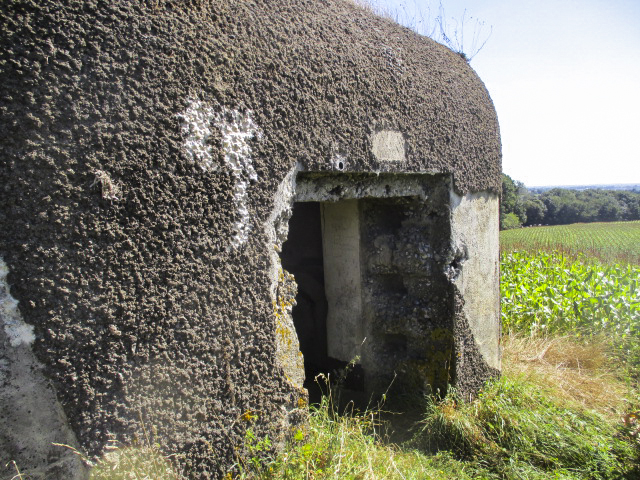 Ligne Maginot - B169 - MONT KOKEREEL - (Blockhaus pour canon) - 