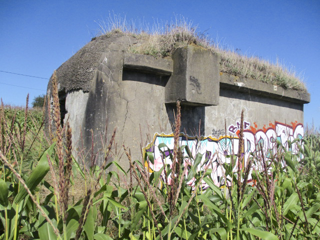 Ligne Maginot - B169 - MONT KOKEREEL - (Blockhaus pour canon) - 