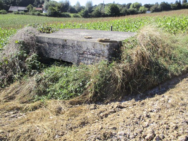 Ligne Maginot - B171 - VLENINKHOF SUD - (Blockhaus pour arme infanterie) - 