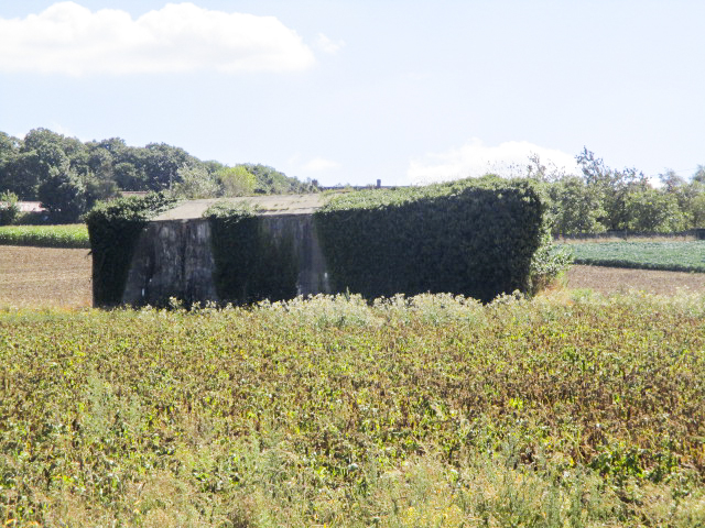 Ligne Maginot - B172 - PURGATOIRE - (Blockhaus pour canon) - 