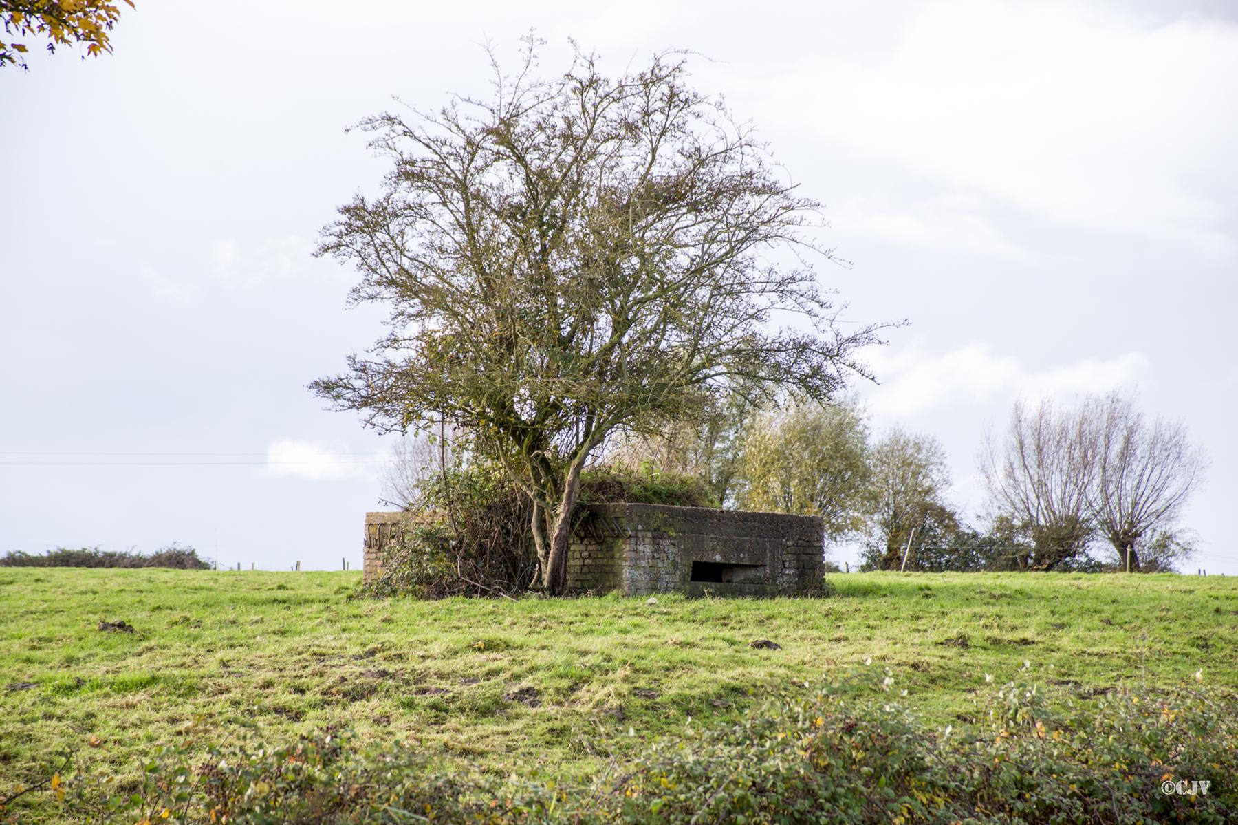 Ligne Maginot - B196 - COIN du MOULIN (Blockhaus pour arme infanterie) -  - Lia VERMEULEN