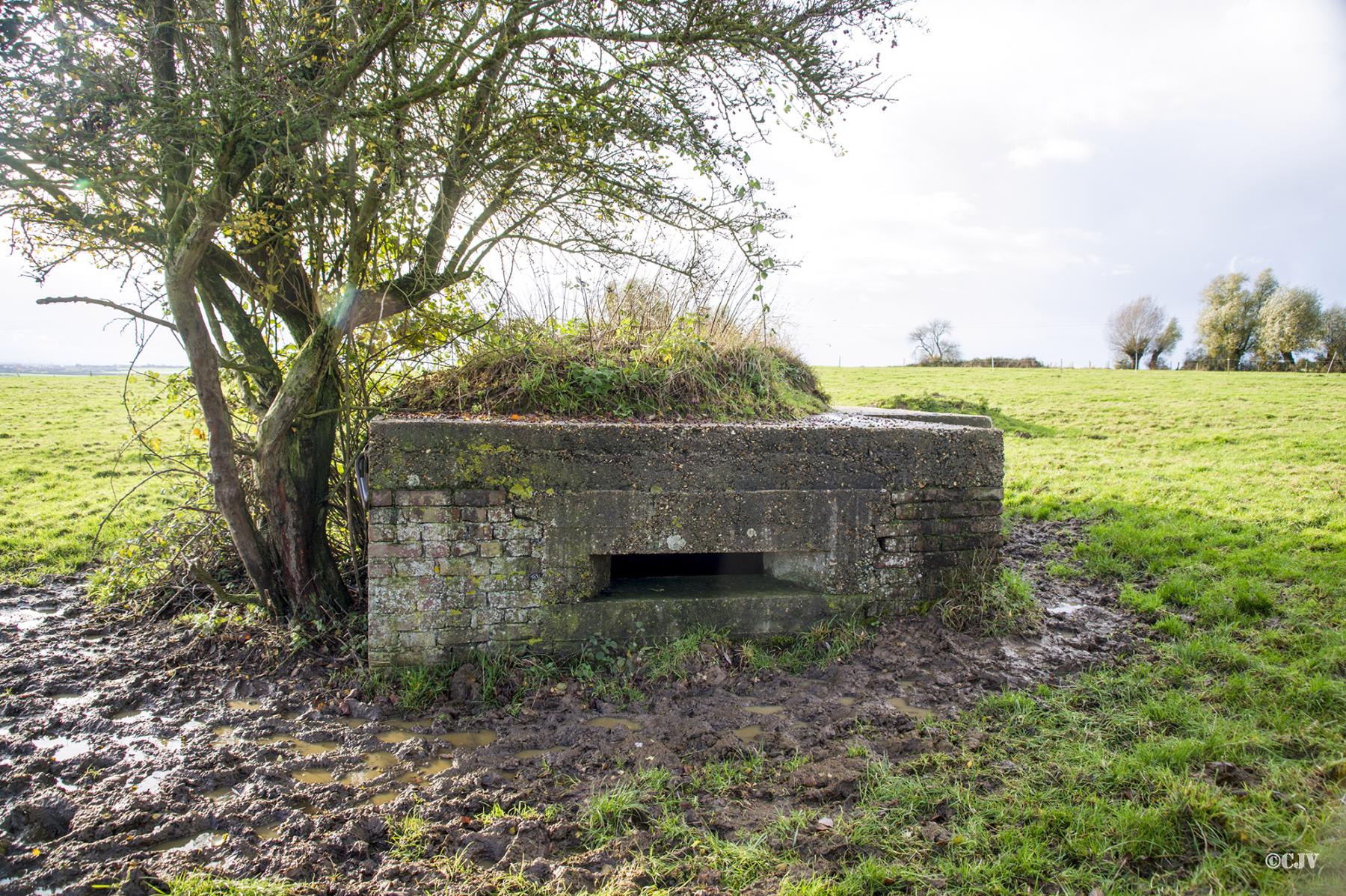 Ligne Maginot - B196 - COIN du MOULIN (Blockhaus pour arme infanterie) -  - Lia VERMEULEN