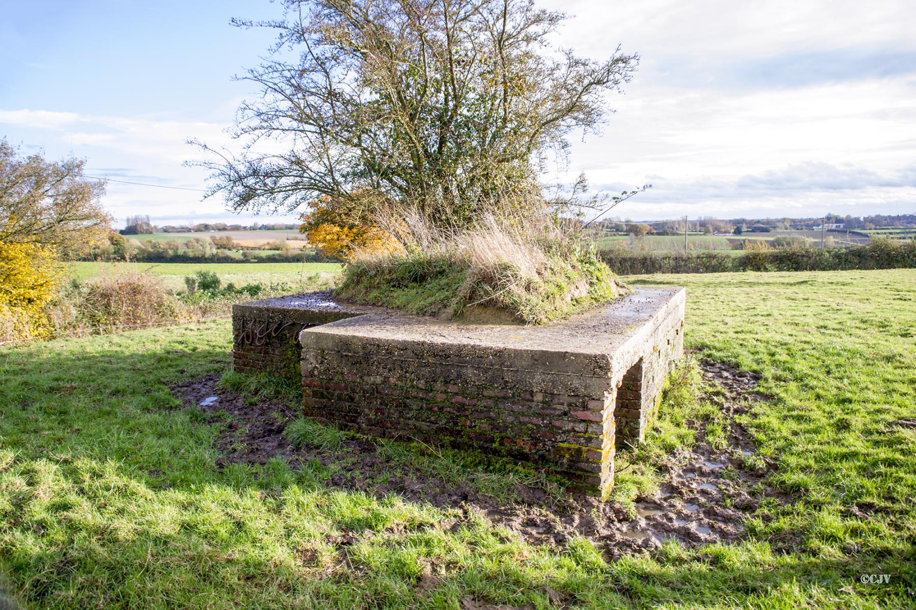Ligne Maginot - B196 - COIN du MOULIN (Blockhaus pour arme infanterie) -  - Lia VERMEULEN