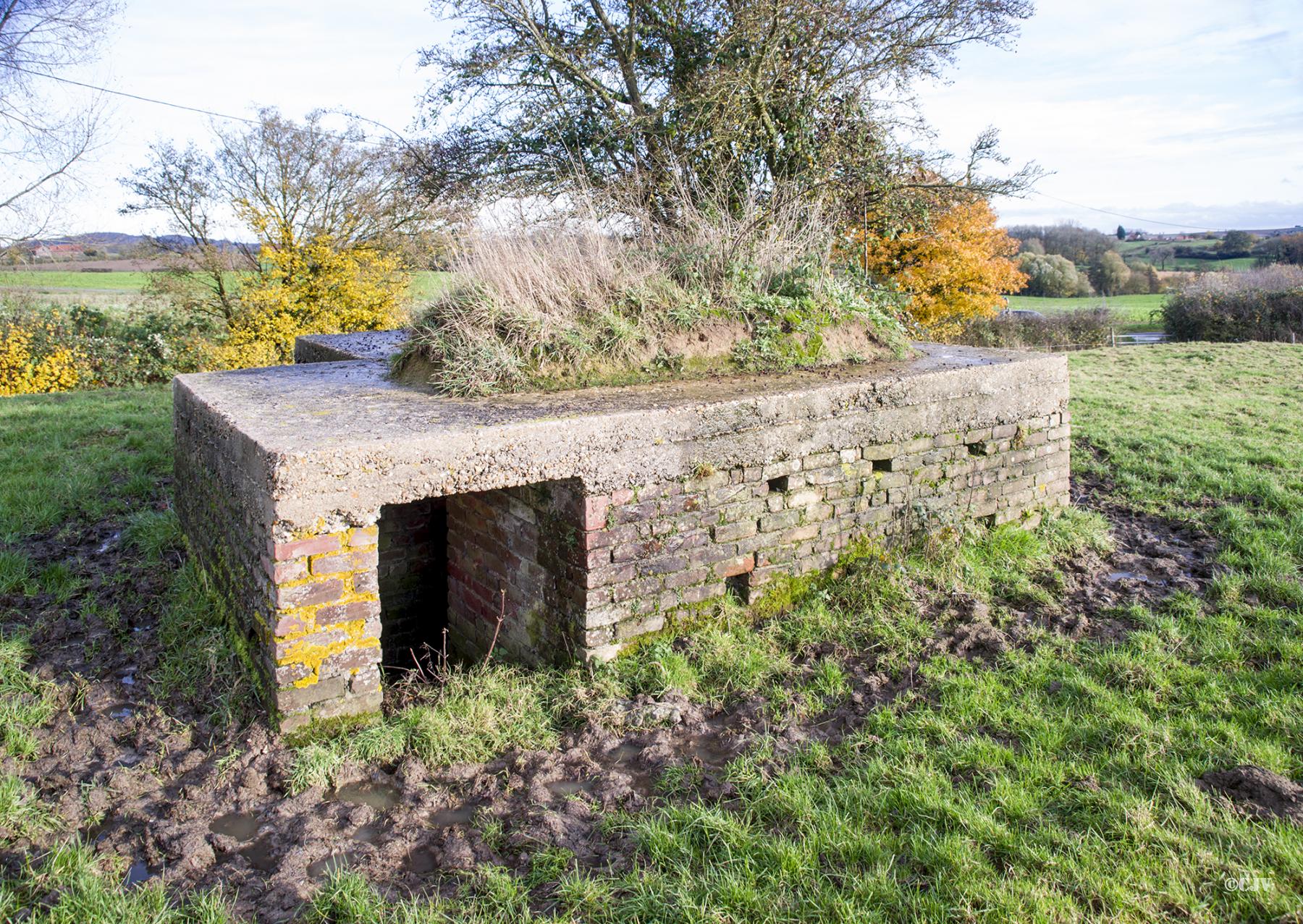 Ligne Maginot - B196 - COIN du MOULIN (Blockhaus pour arme infanterie) -  - Lia VERMEULEN