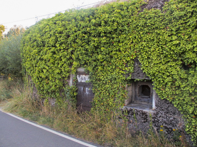 Ligne Maginot - B219 - LES COURTS-PAYEUX - (Blockhaus pour canon) - 