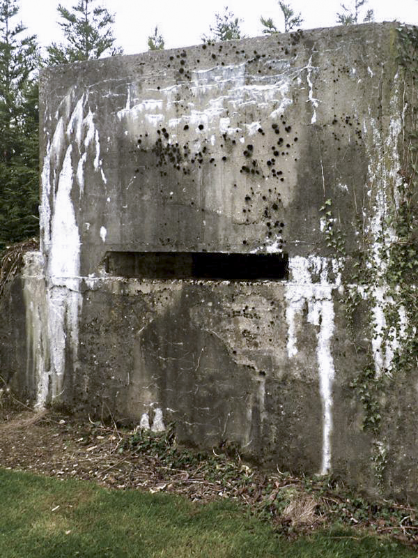 Ligne Maginot - B104 - RYVELD - (Observatoire indéterminé) -  - JMBrams