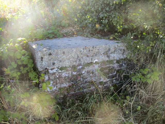 Ligne Maginot - B114 - STEENVOORDE Sud - (Blockhaus pour arme infanterie) - Vue prise du Chemin de Bailleul - Smardz Félix