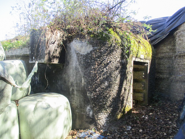 Ligne Maginot - B166 - USINE de BOESCHEPE (Blockhaus pour canon) - 
