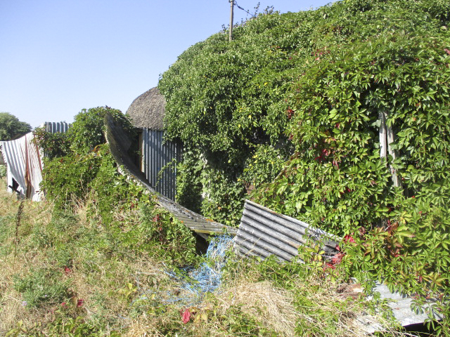 Ligne Maginot - B229 - Le PAPOT (Blockhaus pour canon) - Visible de la D 933 - Rue de Bailleul.