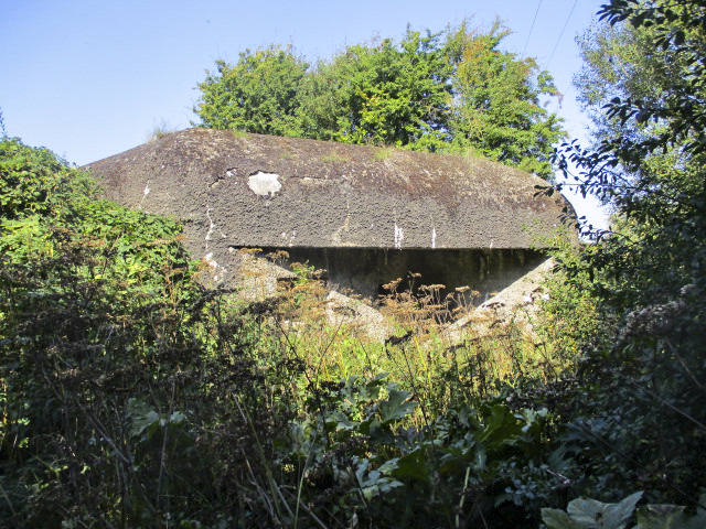 Ligne Maginot - B227 - STATION de STEENWERCK (Blockhaus pour canon) - Visible du sentier piétonnier longeant la voie ferrée Lille Calais - Smardz Félix