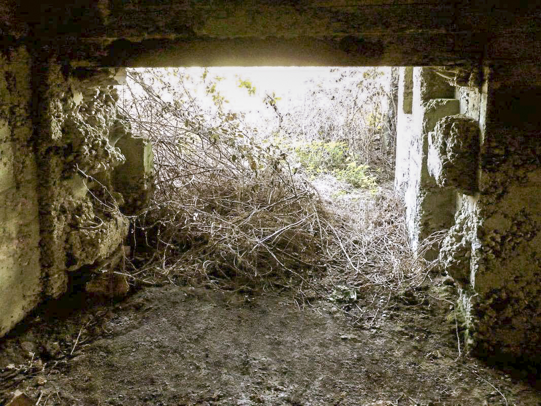 Ligne Maginot - CEZF-A - BALEMBERG - (Casemate d'infanterie - double) -  - JMBrams