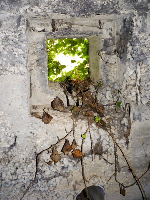Ligne Maginot - CEZF-E - ZERMEZEELE - (Casemate d'infanterie - double) - 